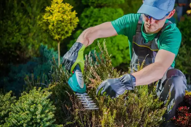 landscaping services Woodmere